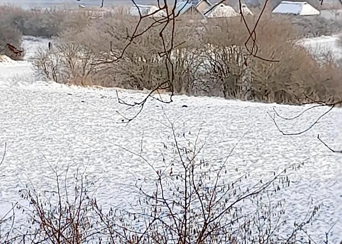 Am Runenstein 7 Appartamento